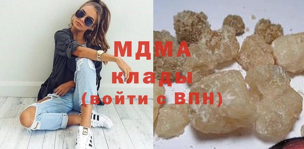 индика Алексин